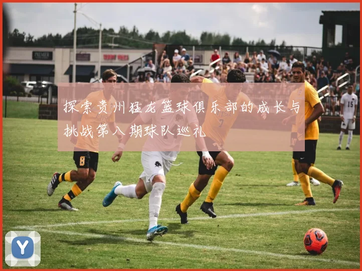 探索贵州猛龙篮球俱乐部的成长与挑战第八期球队巡礼
