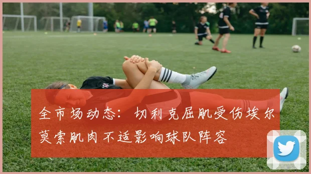全市场动态：切利克屈肌受伤埃尔莫索肌肉不适影响球队阵容